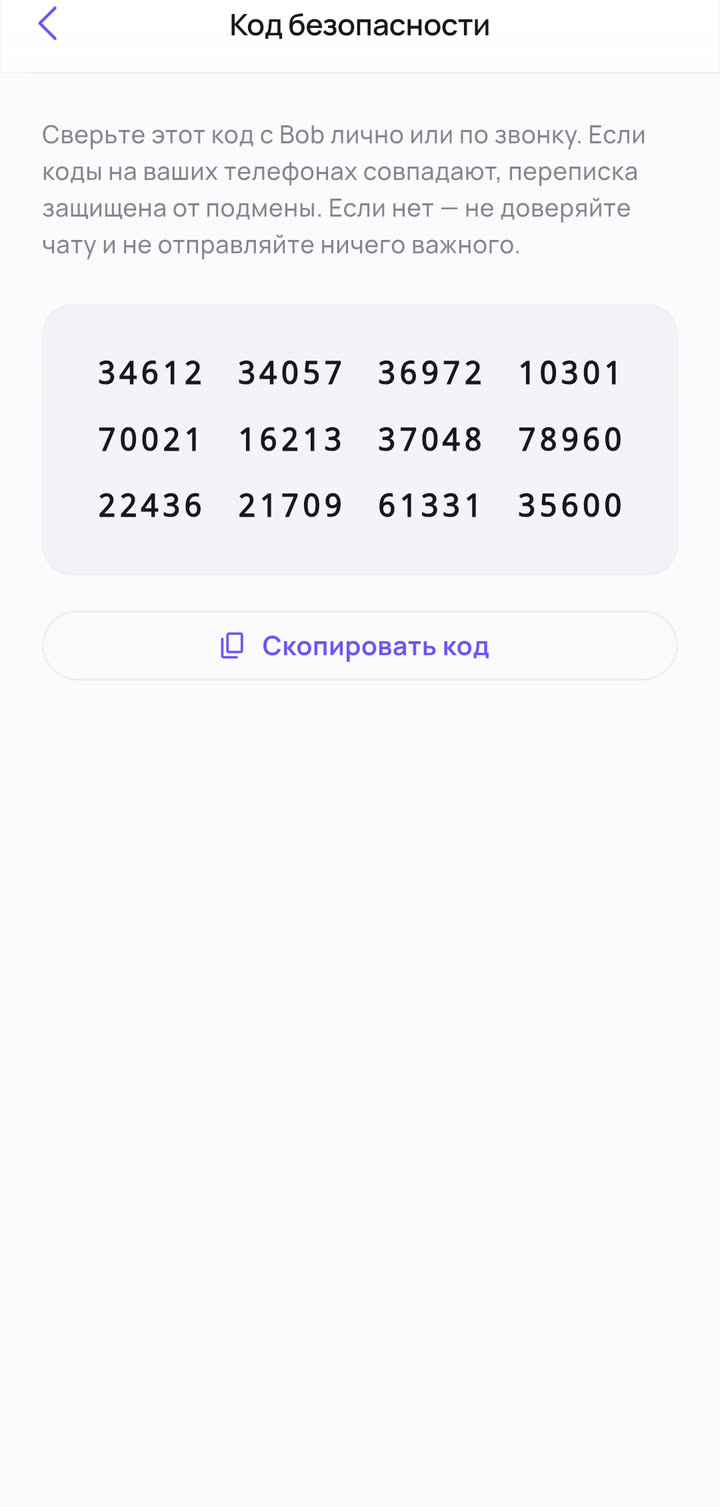 Код безопасности секретного чата